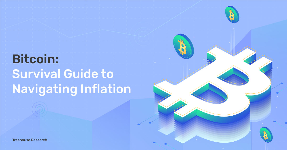 Bitcoin: Survival Guide to Navigating Inflation
