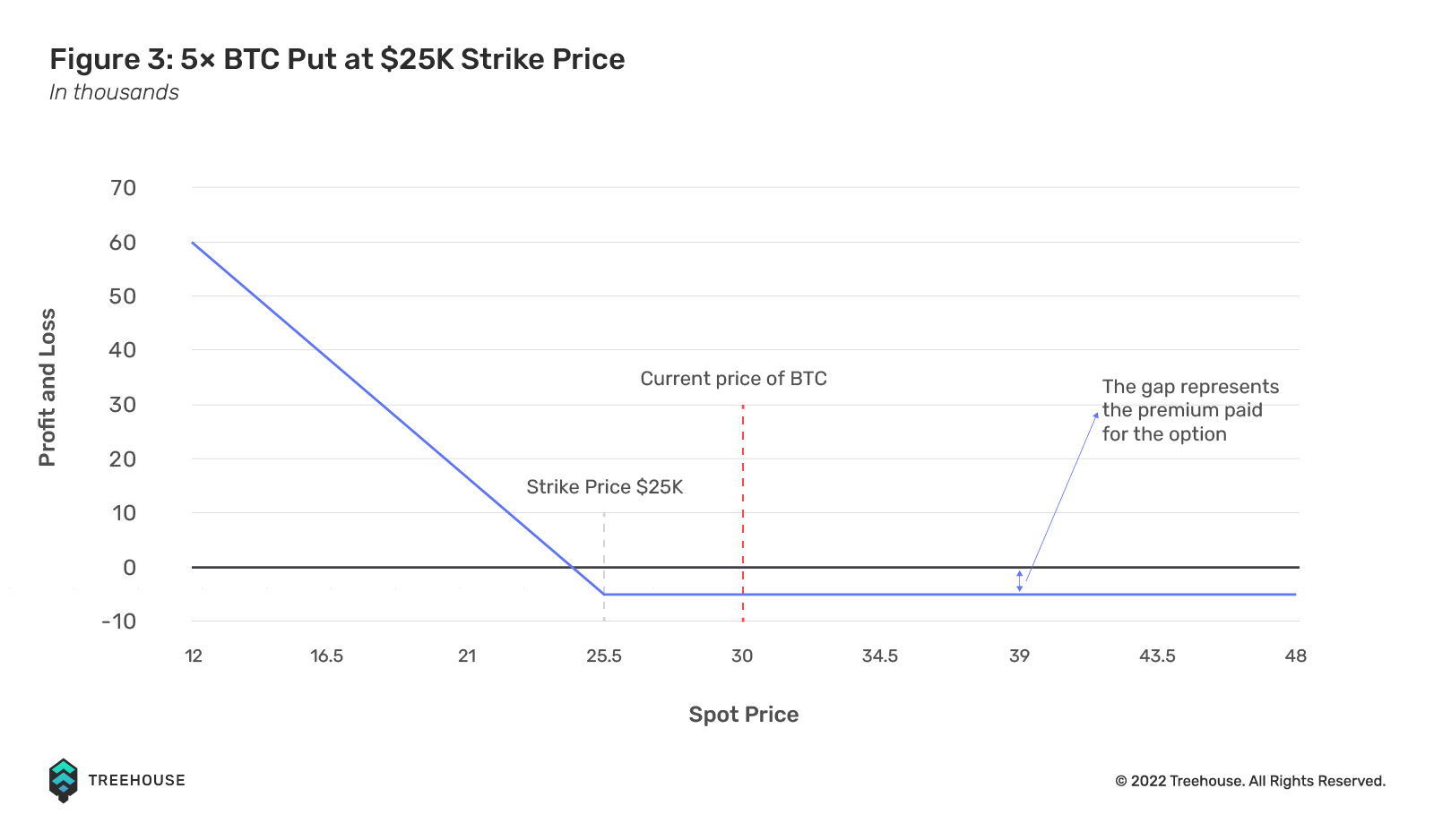5x BTC Put at $25K Strike Price